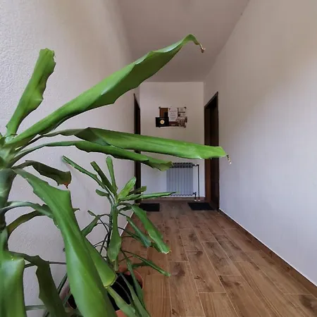 Apartment Martina Banjol